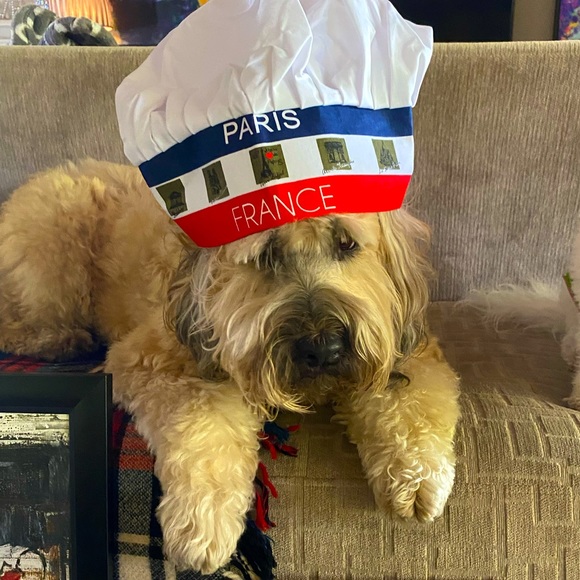 Offers & Bundles - Picture 3 of 9